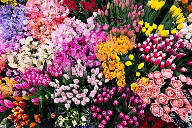 《刀剑神域 彼岸游境》公布 DLC后篇“Matricaria”宣传影片