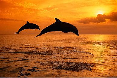 田园铁道《站点连连》淘金热更新上线，史低开启！